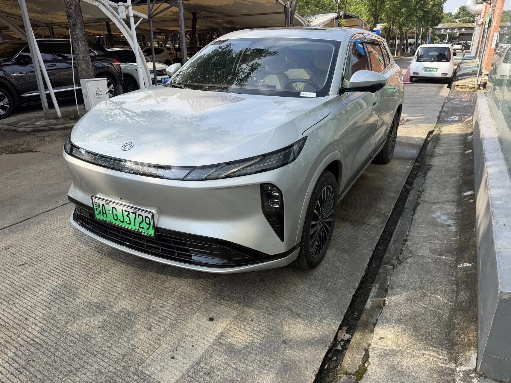 Dongfeng Fengshen L8 2025 Model Year 112KM Ideal Edition
