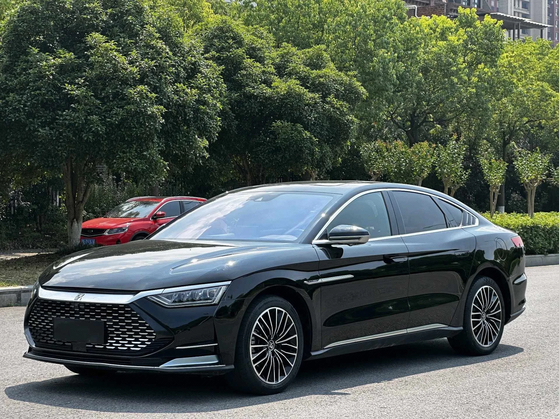 2020 Han DM 4WD Performance Luxury Edition
