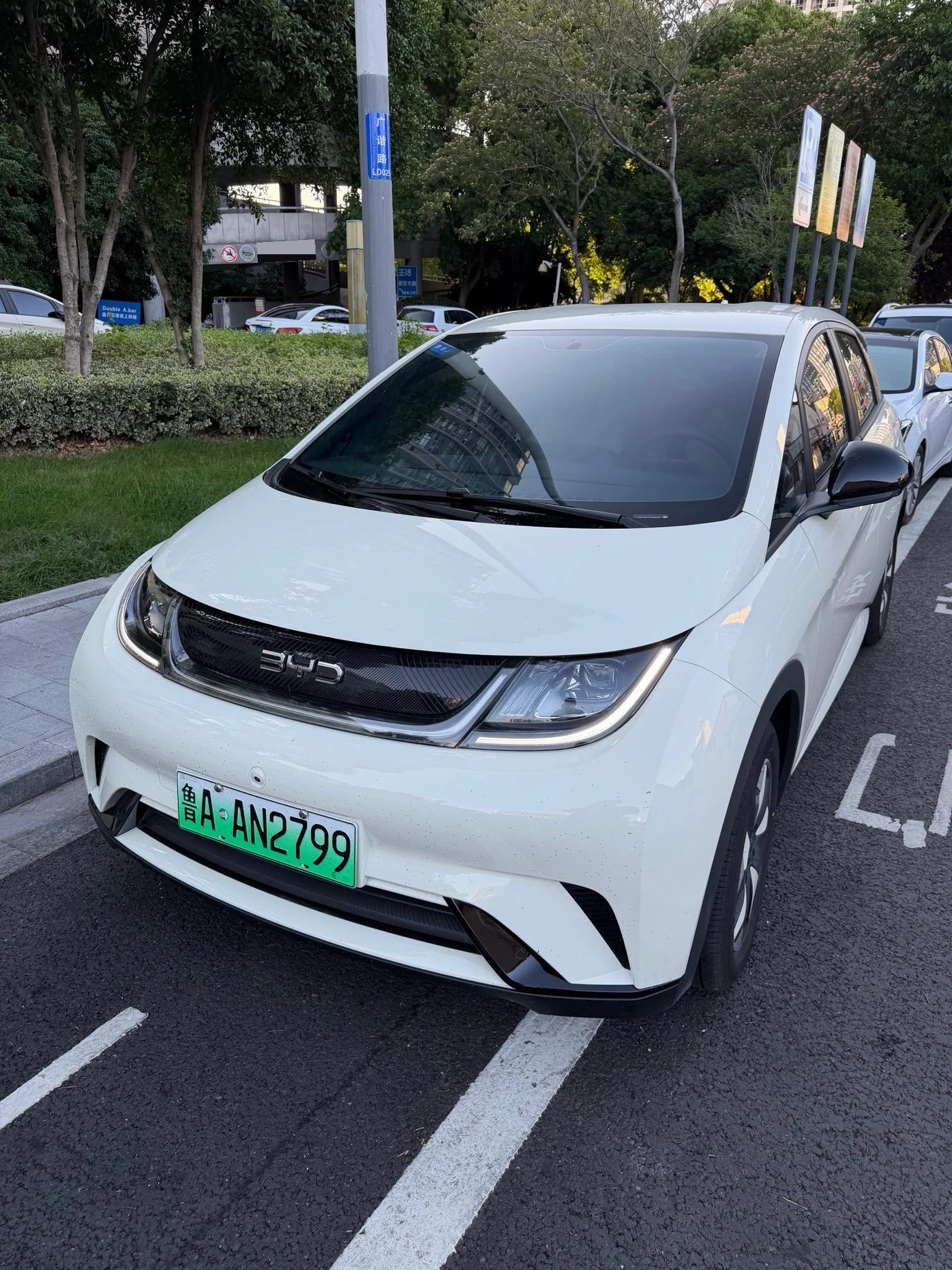 BYD 2025 Dolphin 420km Freedom Edition Automatic