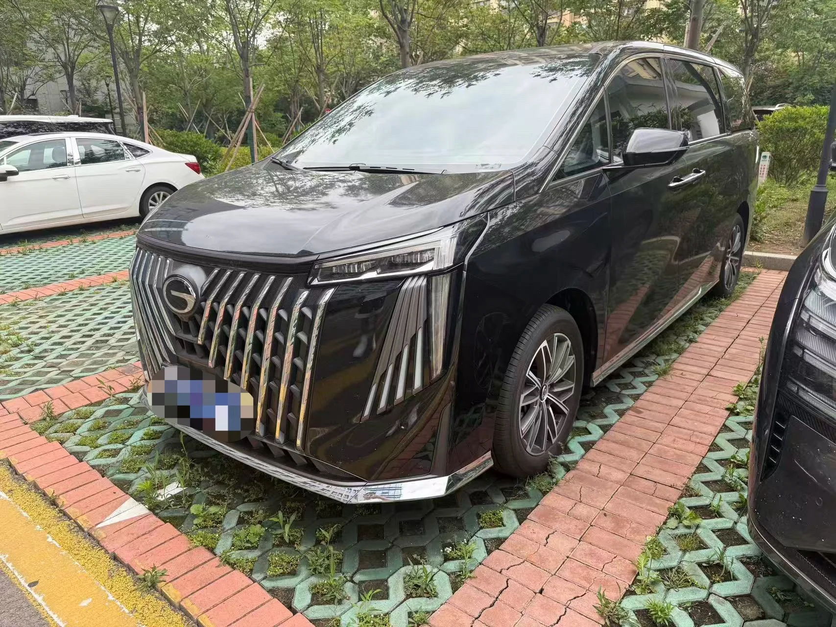 Trumpchi 2024 M8 2.0T 400T Master Series Premium Edition Automatic