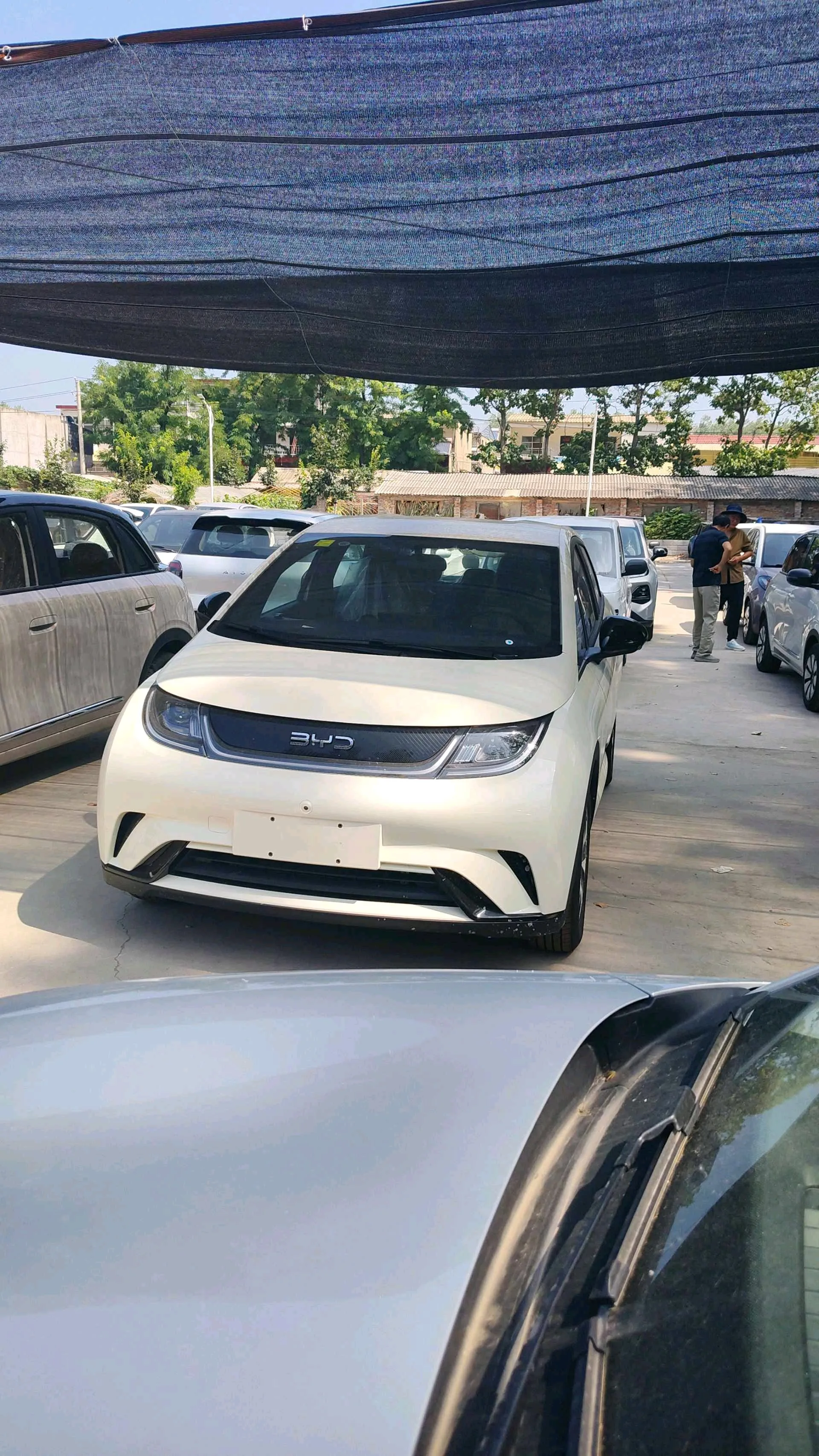 BYD 2025 Dolphin 420km Freedom Edition Automatic