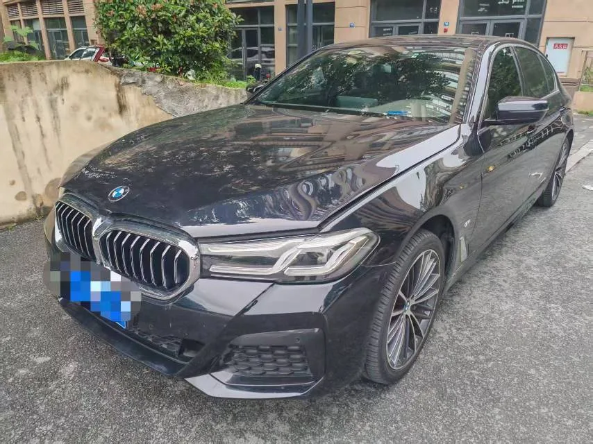 BMW 5 Series 2021 530Li Leading Luxury Package