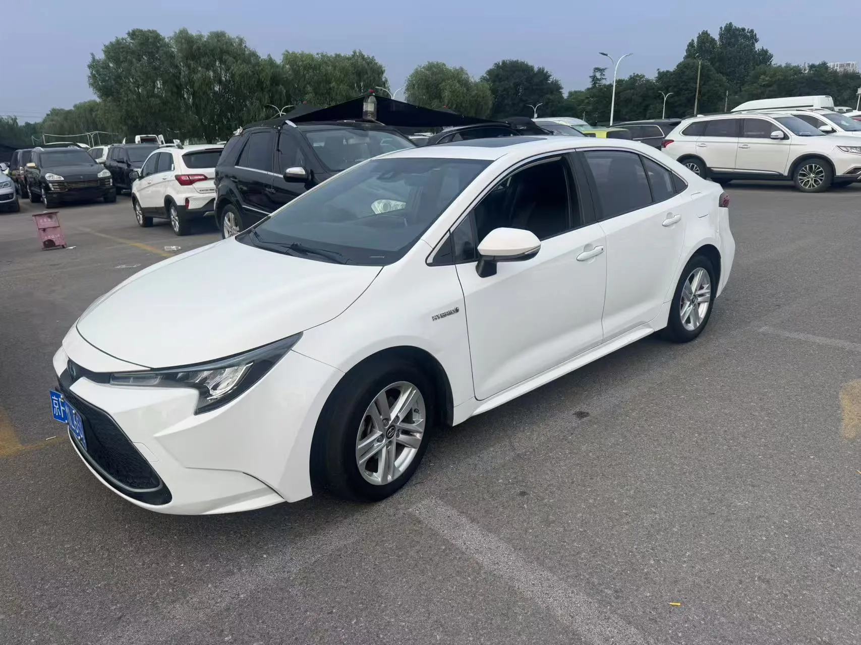 Levin 2022 Hybrid 1.8H E-CVT Luxury Edition