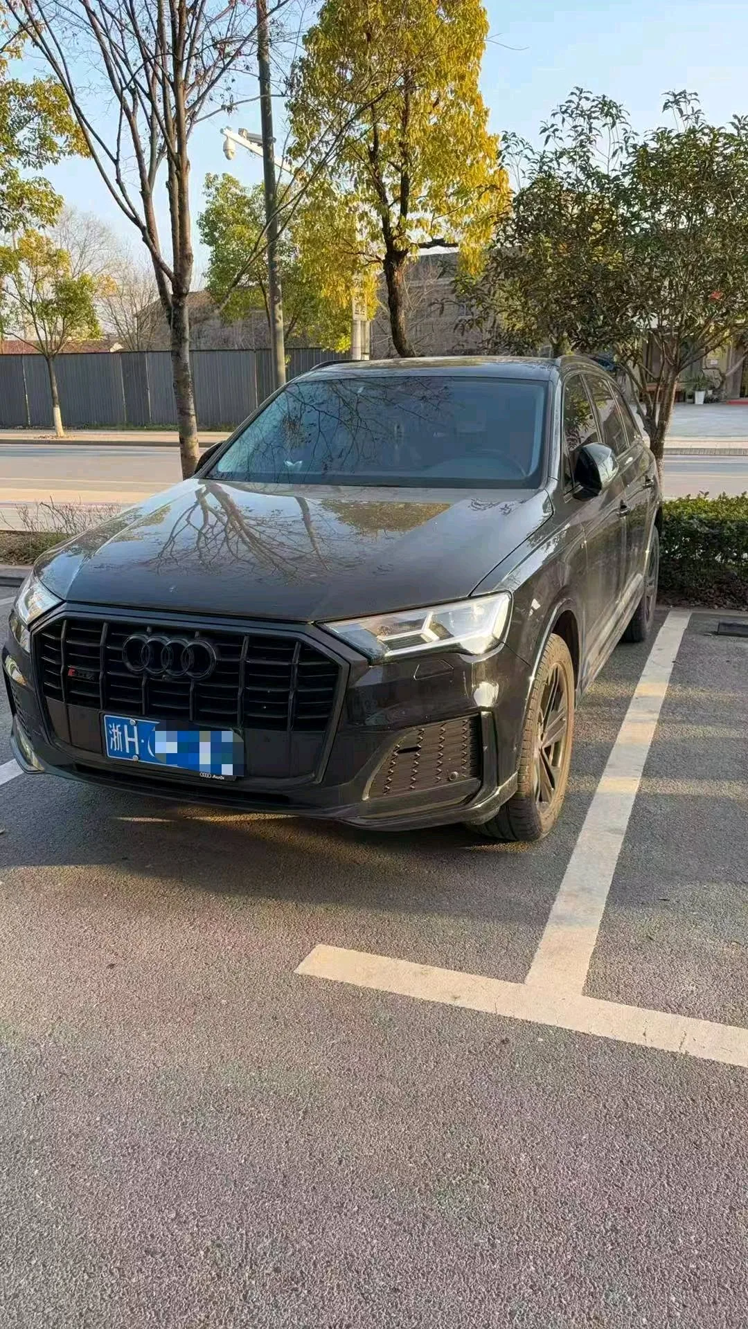 Audi Q7 (Imported) 2023 Q7 2.0TFSI 45TFSI Quattro S line Sport Automatic