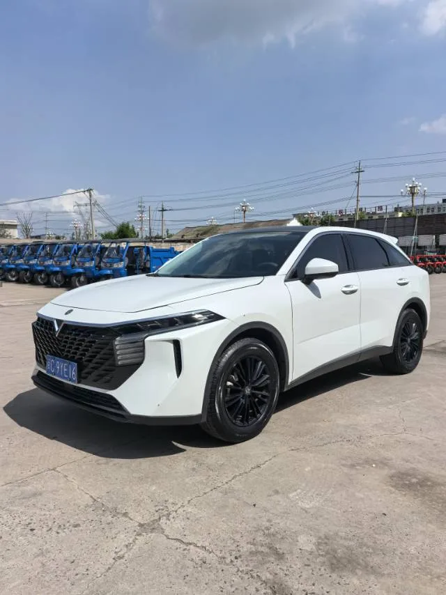 Venucia V 2021 260T Top Edition