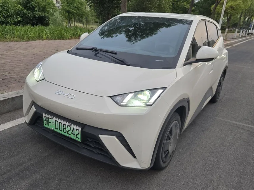 BYD 2024 Seagull Glory Edition 305km/h Vitality Edition Automatic
