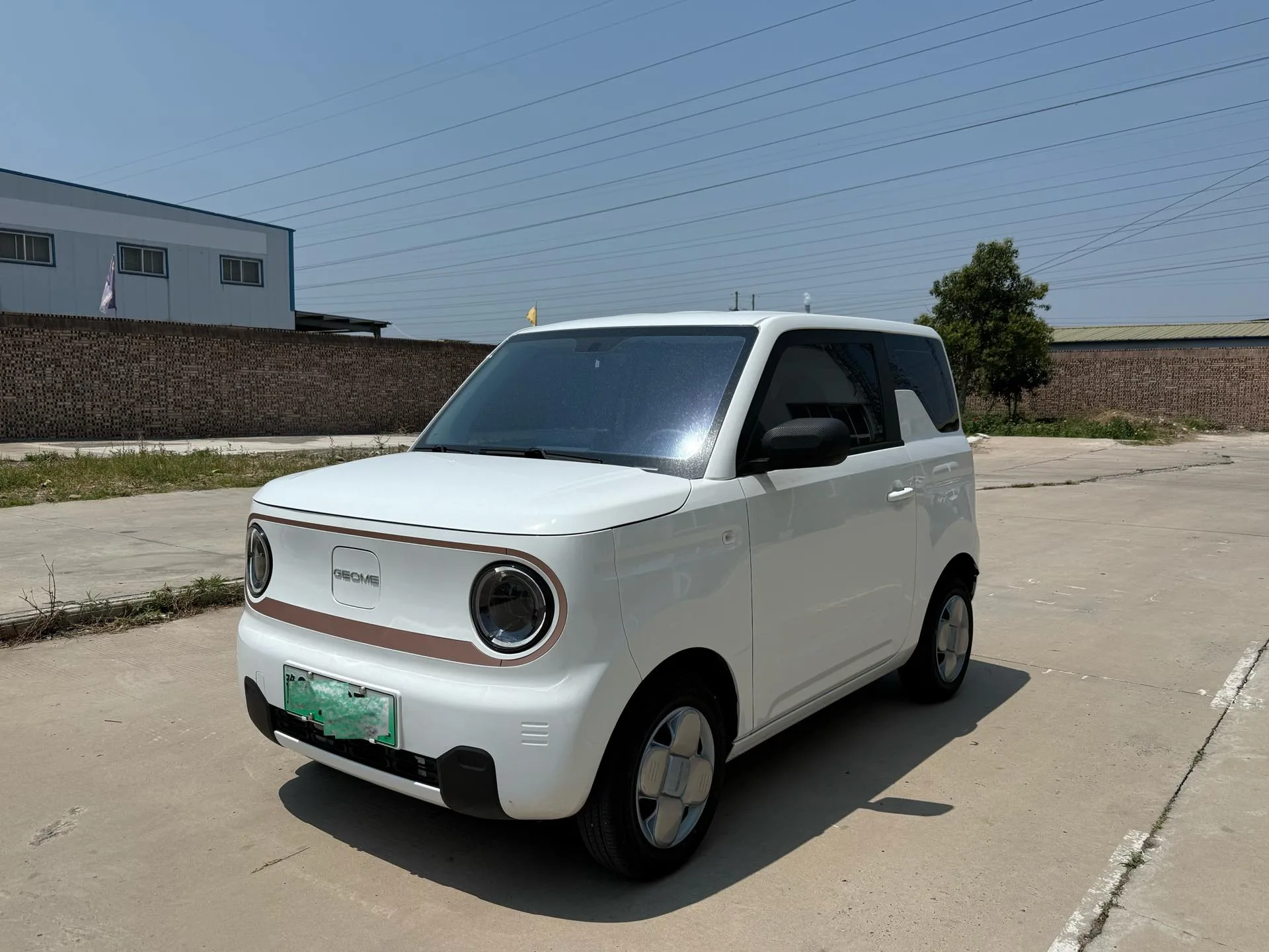 Panda 2024 Panda Mini 200km Endurance Bear