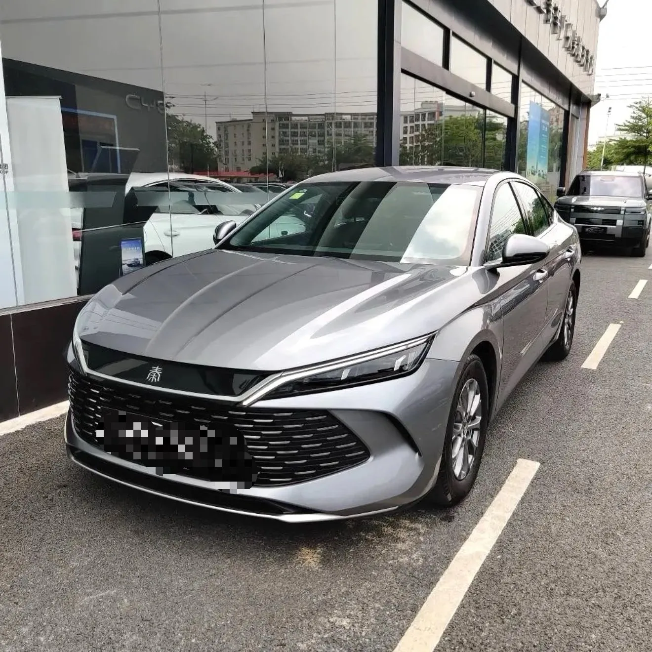 Qin L 2024 DM-i 80KM Leading Edition
