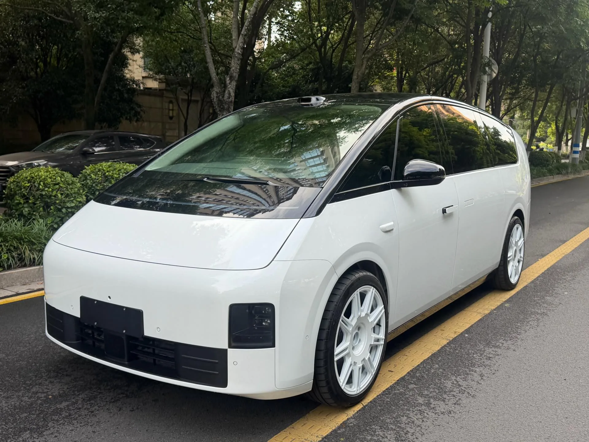 Li Auto 2025 MEGA Home Family Special Edition Automatic