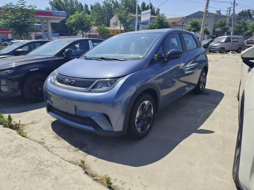 BYD 2025 Dolphin 420km Freedom Edition Automatic