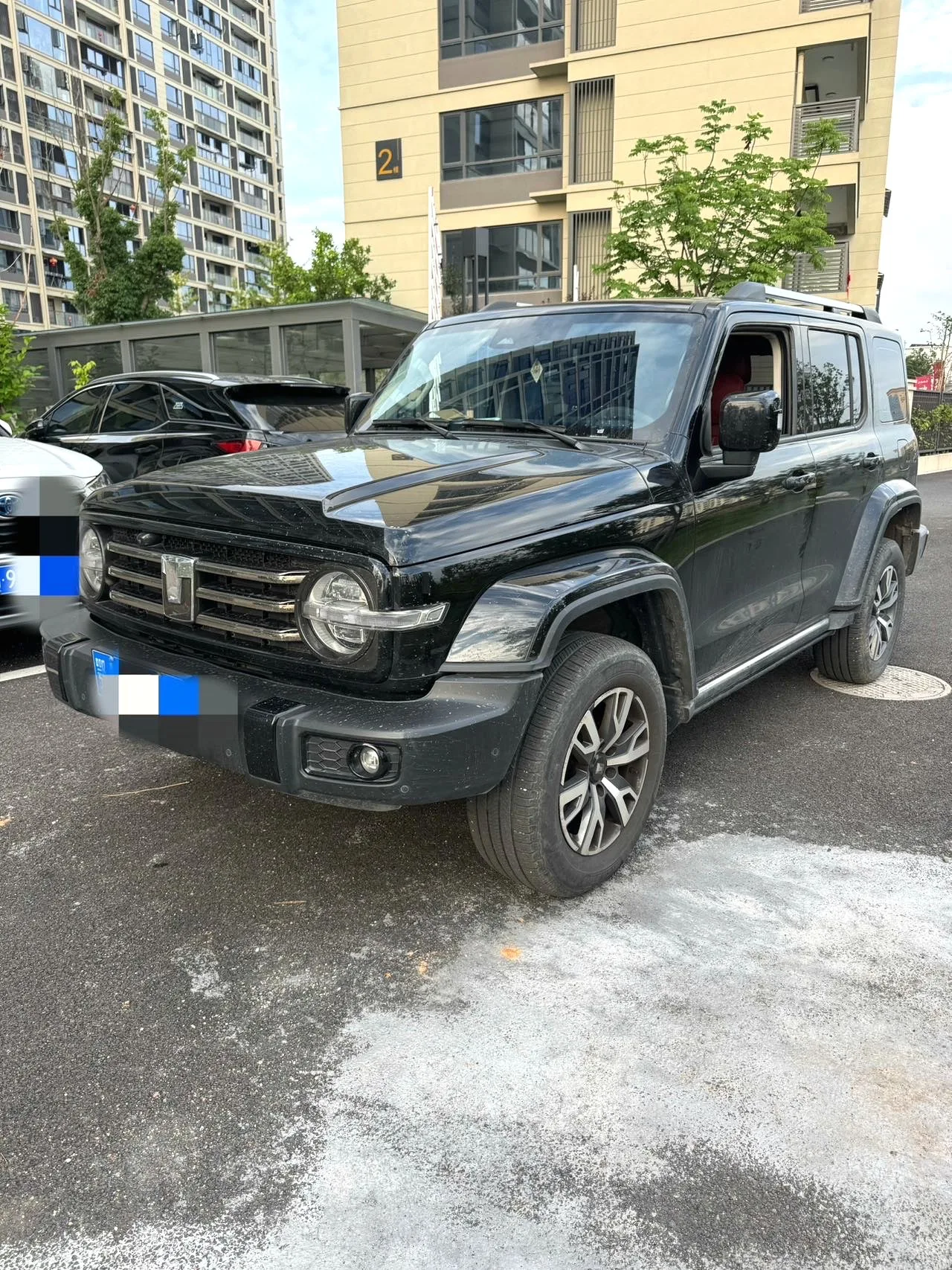 Tank 300 2024 Model 2.0T Crossover
