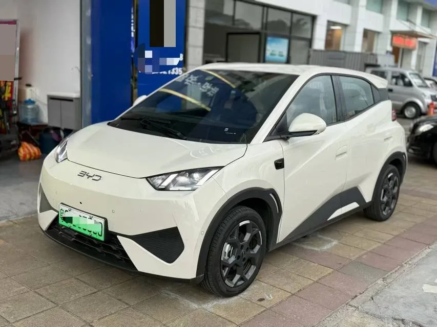 BYD 2025 Seagull Smart Driving Edition 305km Freedom Edition Automatic Transmission