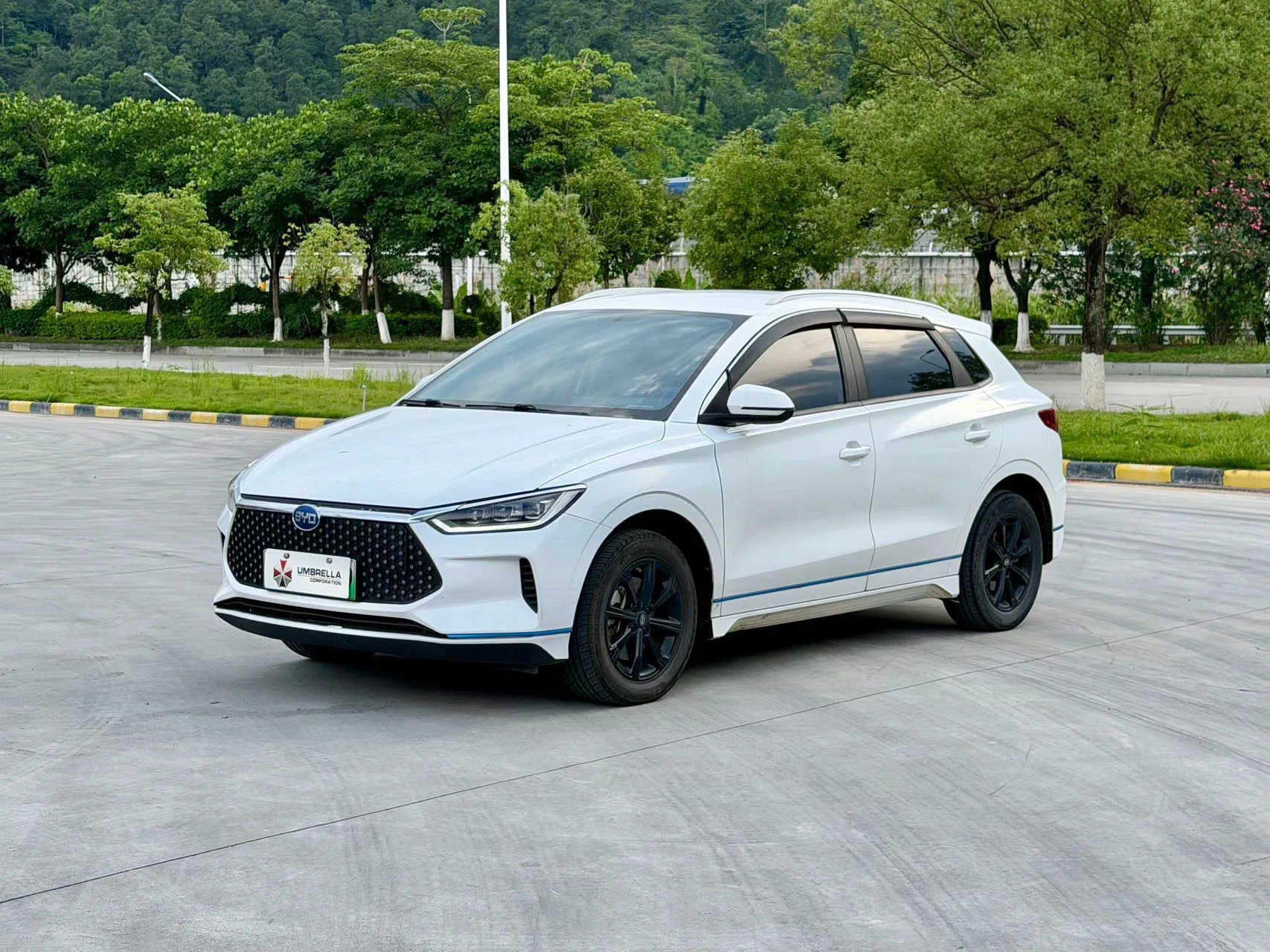 2019 BYD e2 Long Range Edition, Yao·Luxury Trim