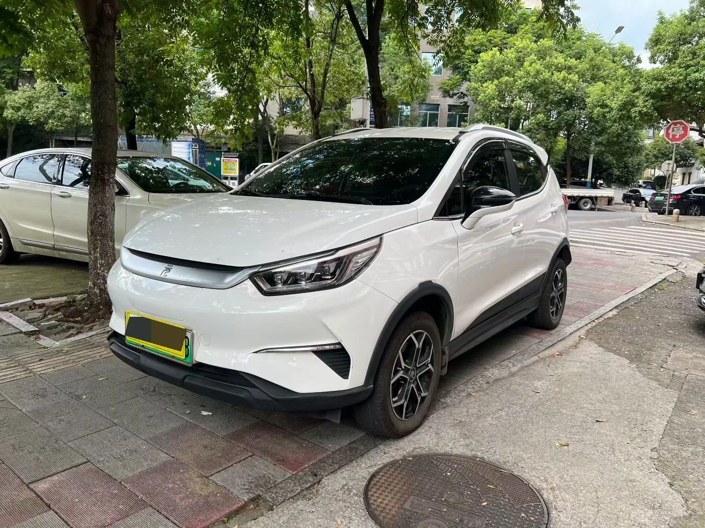 元 专业版 2021 "爱 为了 一个 “终身” 版
