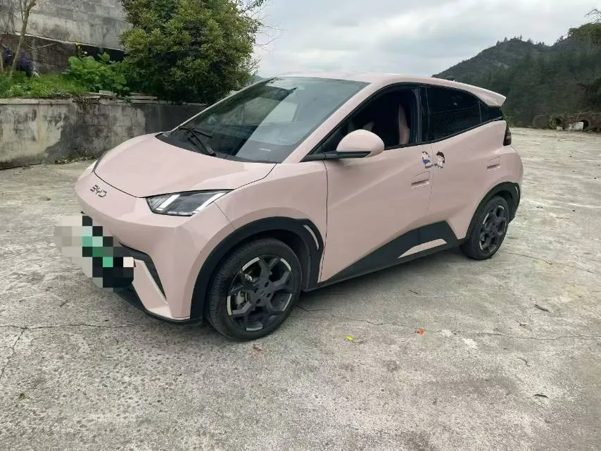 BYD 2025 Seagull 405km/h Flying Edition Automatic