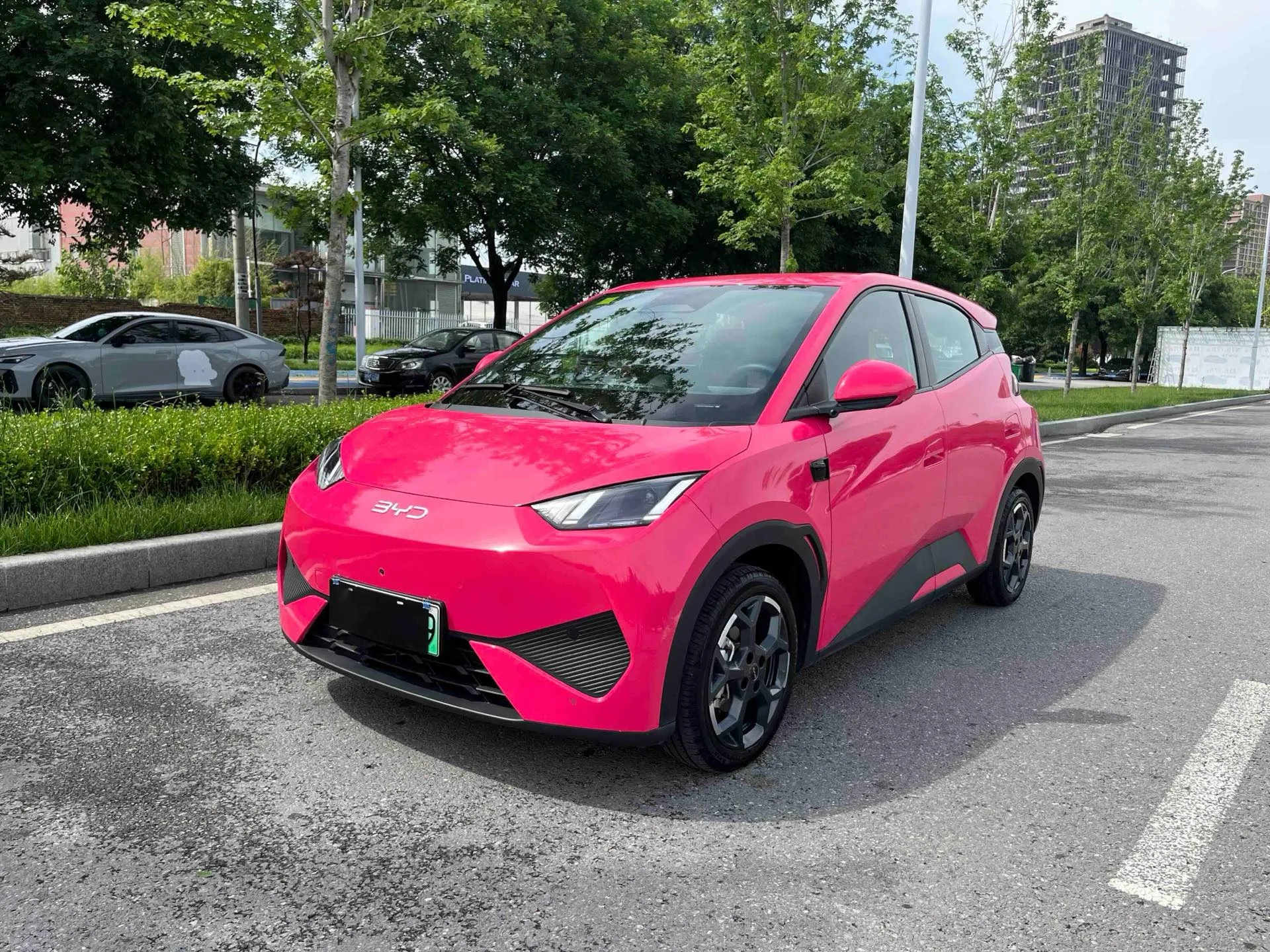 BYD 2025 Seagull Smart Driving Edition 305km Freedom Edition Automatic Transmission