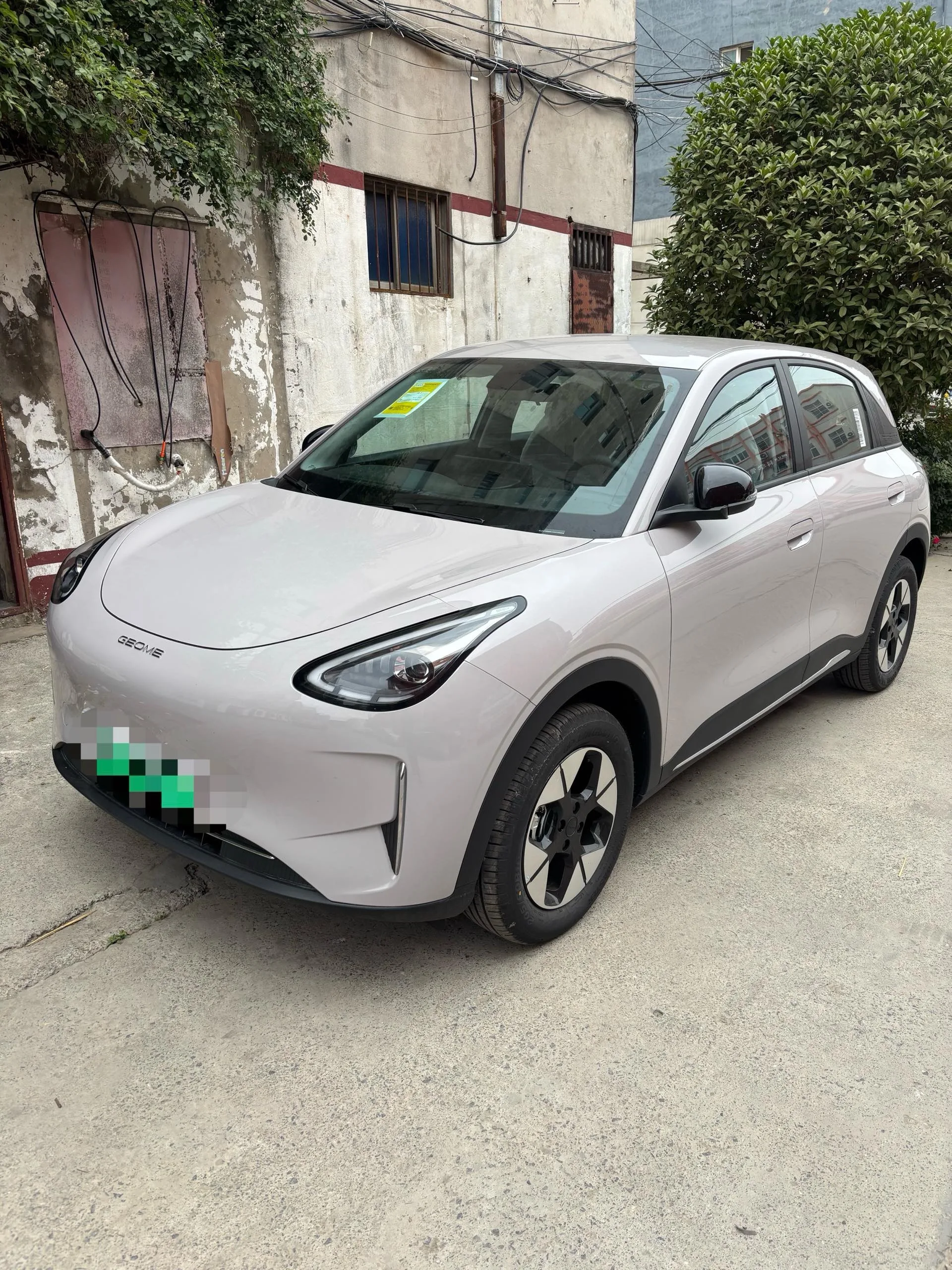 Star Wish 2026 Model 310km Dream Edition