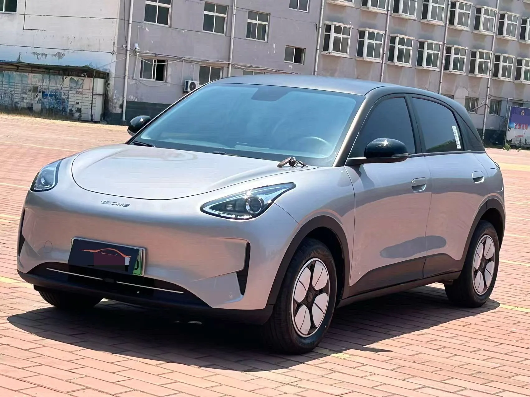 Star Wish 2025 310km Dream Edition