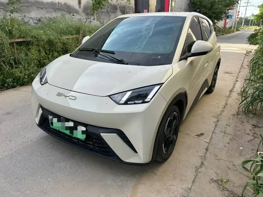 BYD 2023 Seagull Freedom Edition Automatic