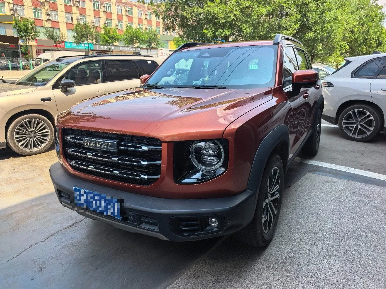 Haval Big Dog 2021 1.5T DCT 2WD Border Collie - Lucky Edition
