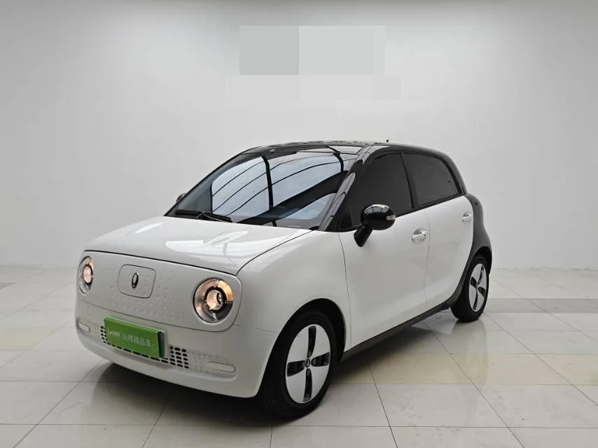 Euler Black Cat 2022 Model, 301 km, Base Model, Ternary Lithium Battery