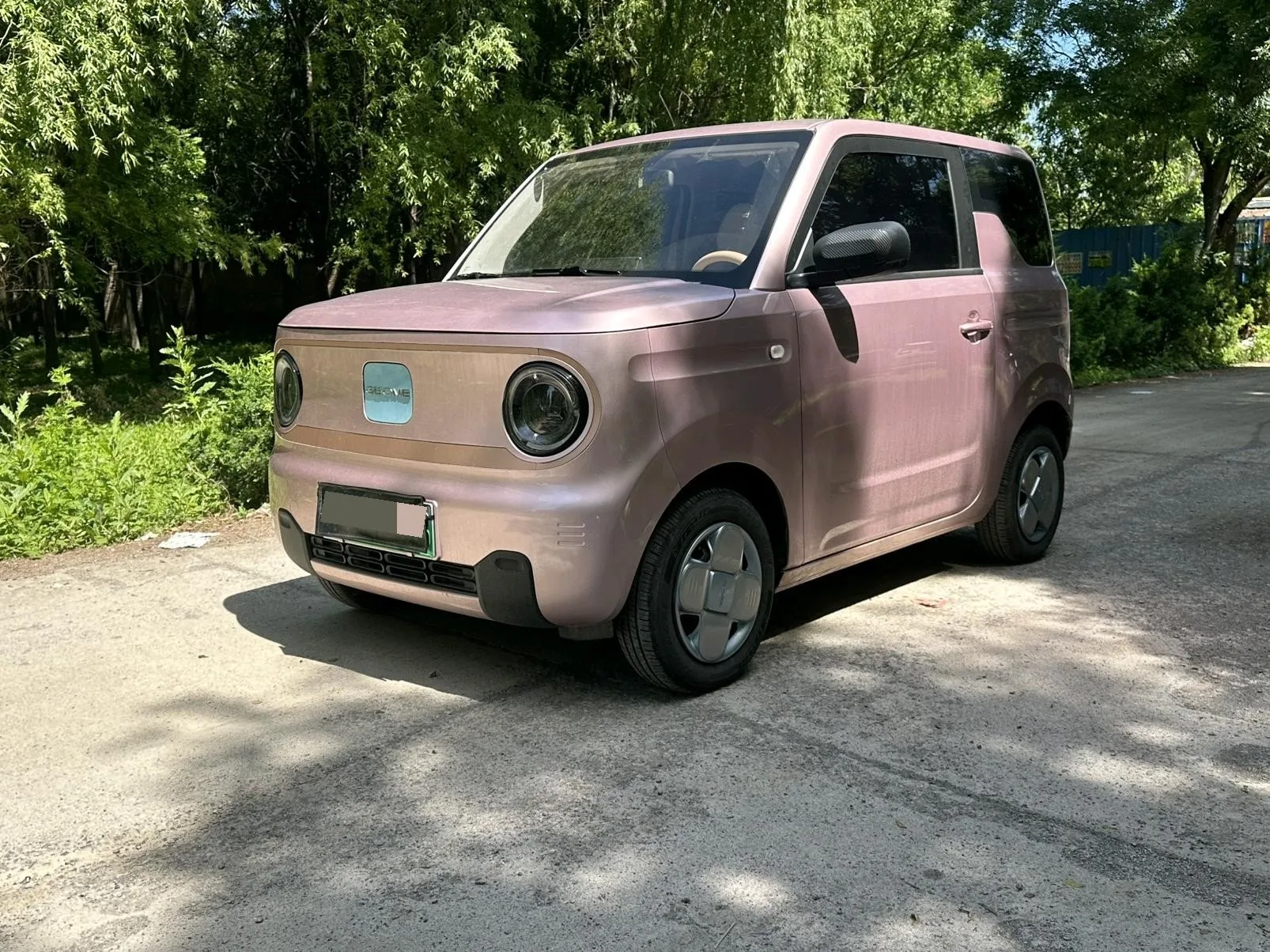 Panda 2024 Panda Mini 200km Endurance Bear