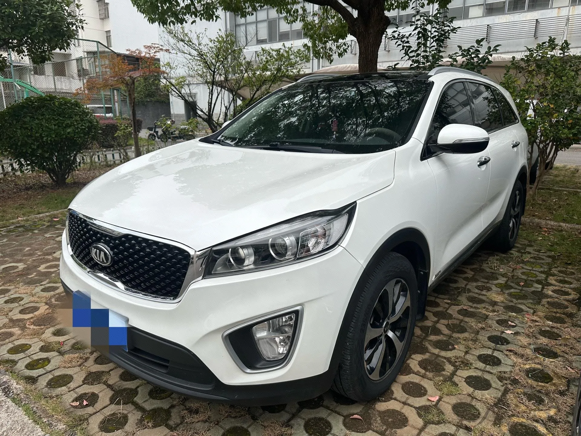 2016 Sorento Sorento L 2.4L Gasoline 4WD Custom Edition 7-Seater China IV