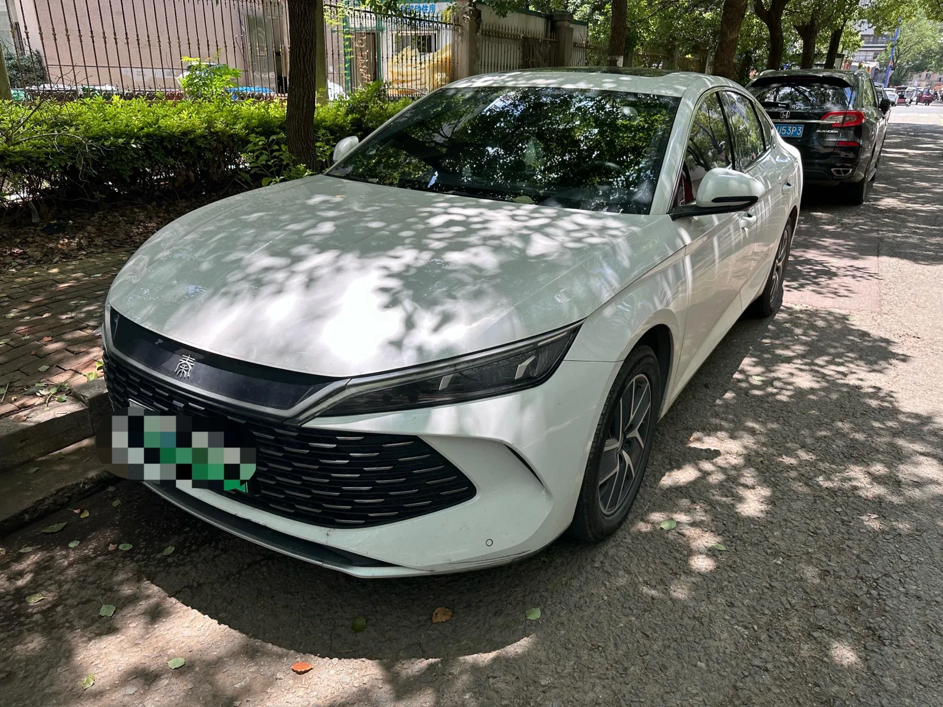 Qin L 2024 DM-i 120KM Leading Edition