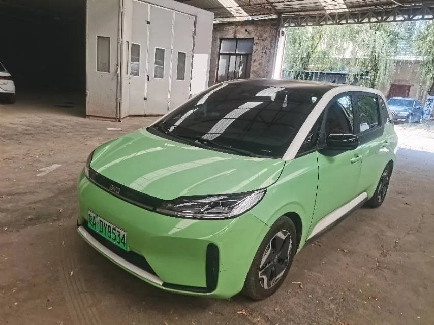 BYD D1 2021 Model Year, Leading Innovation Edition