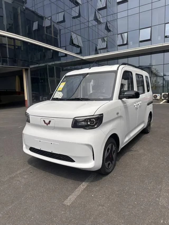 Wuling Sunshine New Energy 2025 Model 305km/h Progressive Edition