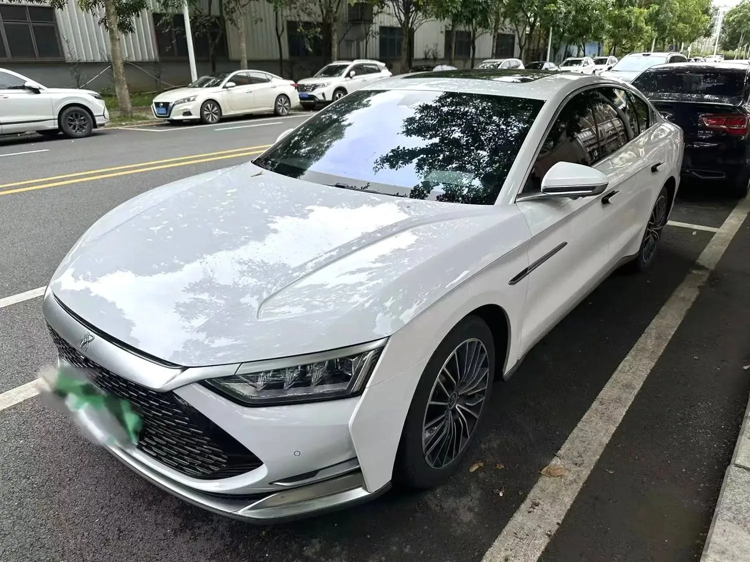 2020 Han DM 4WD Performance Luxury Edition