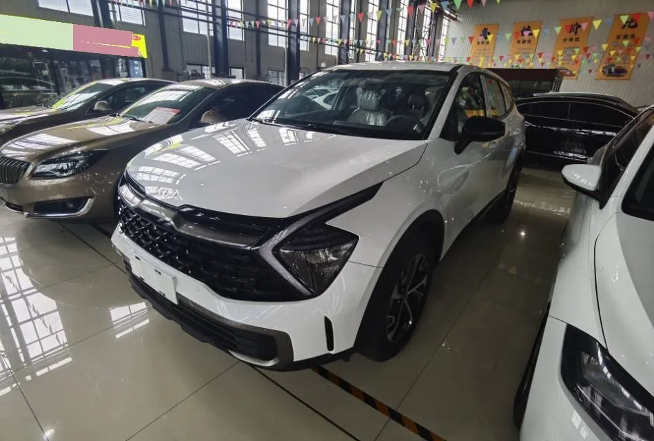 Lion Platinum Expansion 2023 1.5T 2WD Luxury Edition