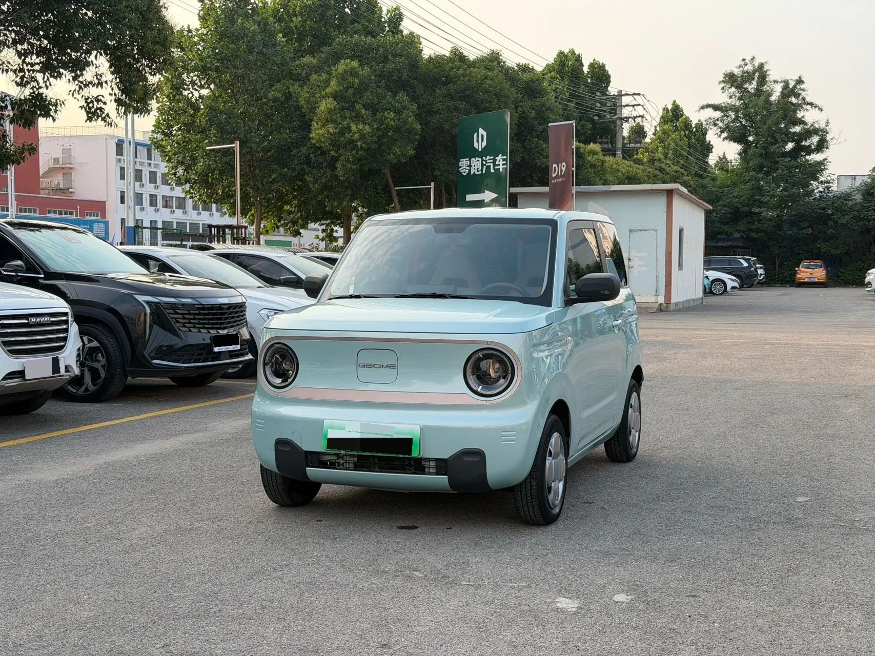 Panda 2023 Panda Mini 200km Endurance Bear