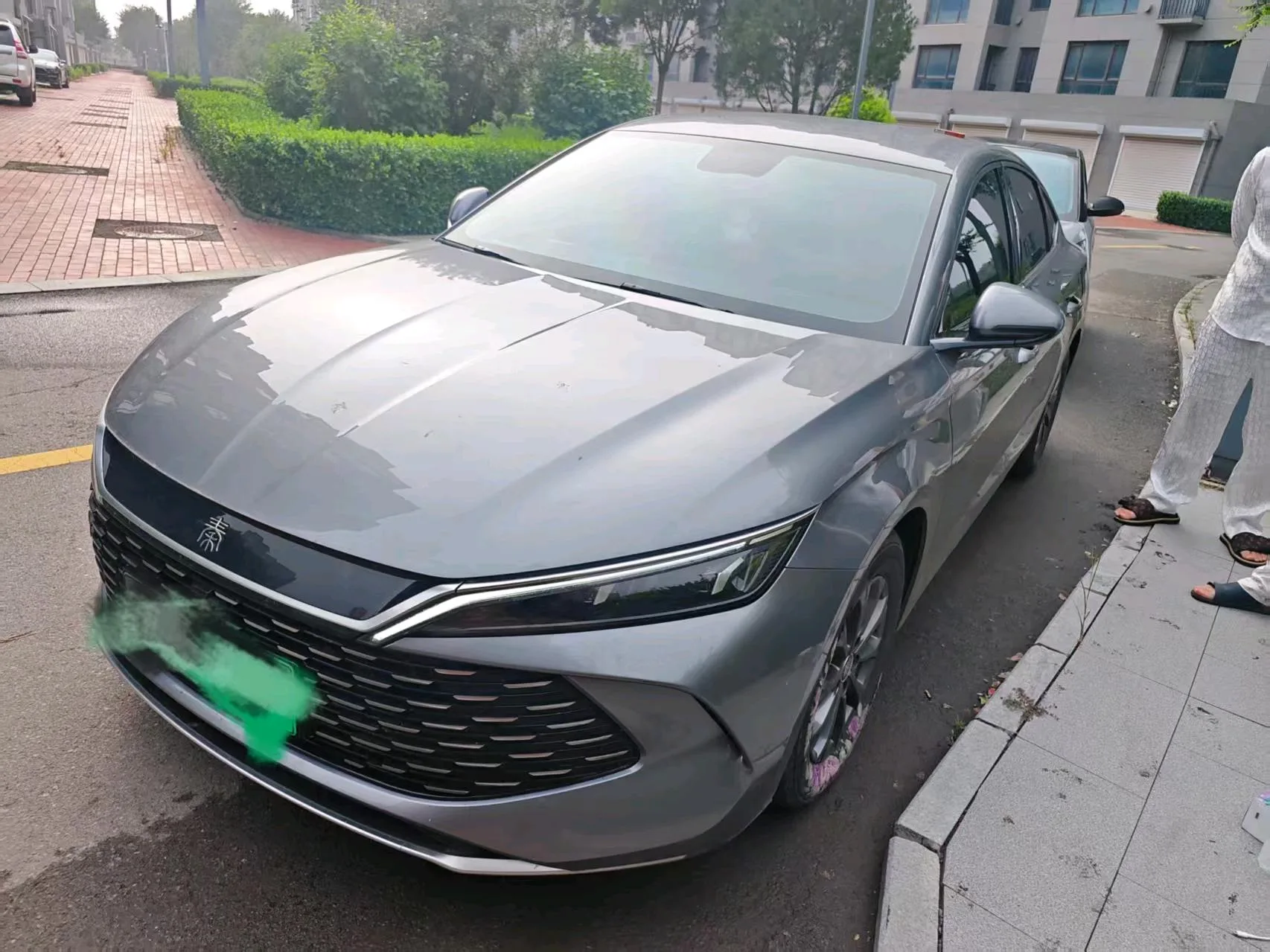 Qin L 2024 DM-i 80KM Leading Edition