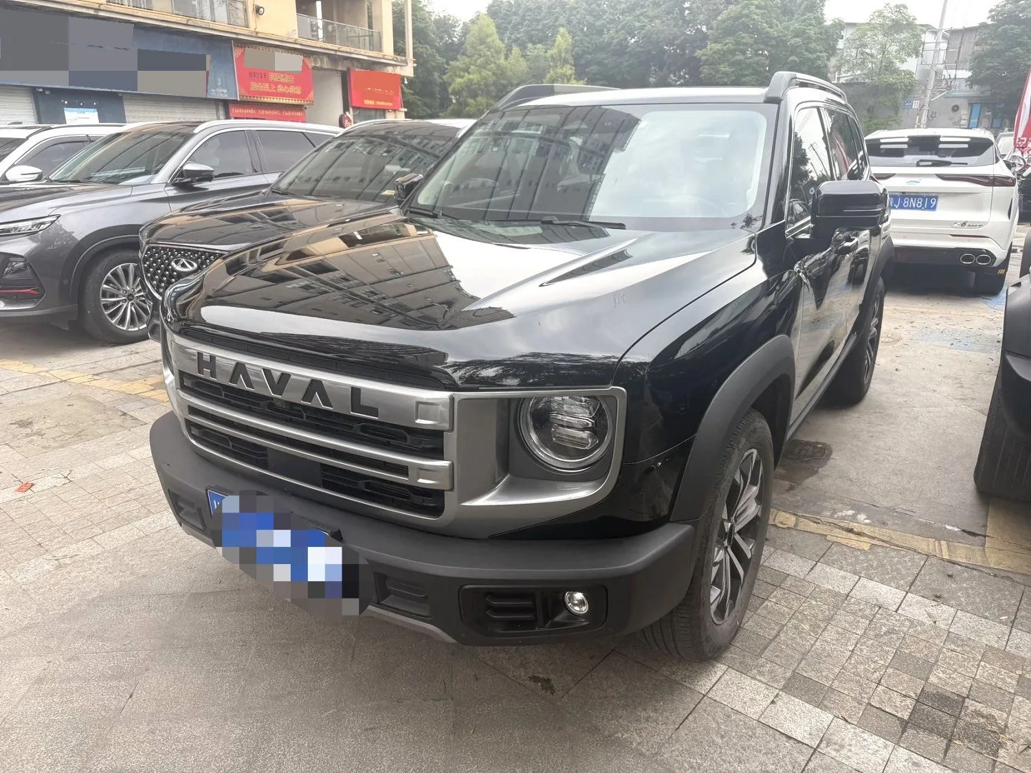 Haval 2024 Big Dog 1.5T Border Collie Edition Automatic