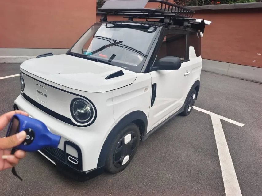 Geely 2025 Panda MINI 210km Panda Go-Kart Automatic