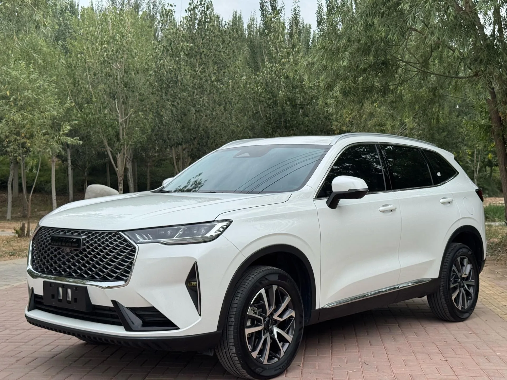 Haval 2024 H6 1.5T 2WD Pro Automatic