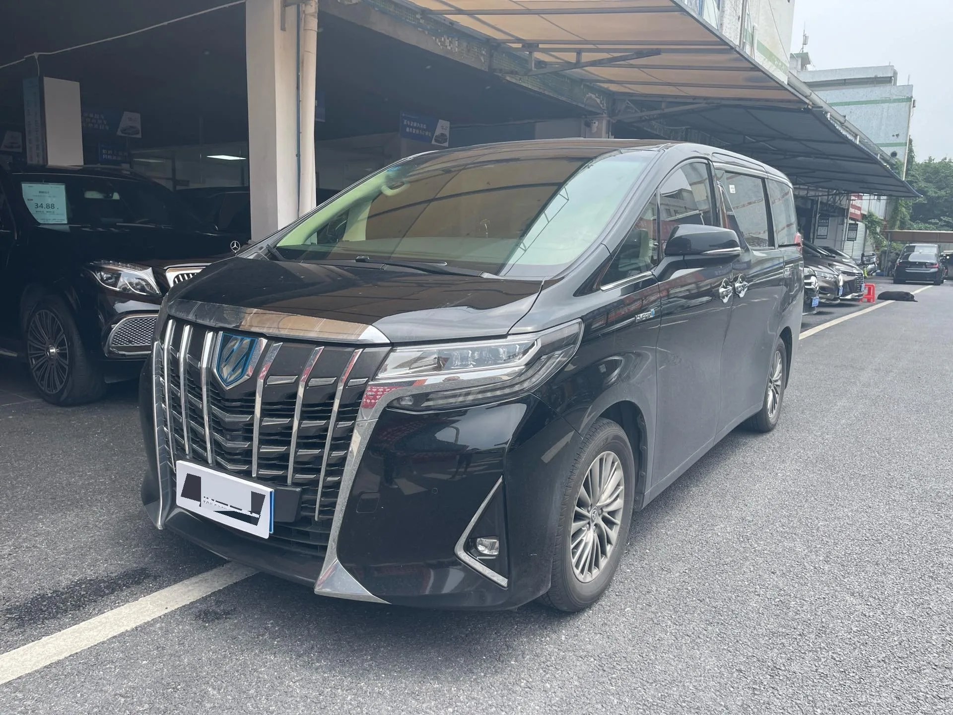 2019 Alphard Hybrid 2.5L Luxury Edition