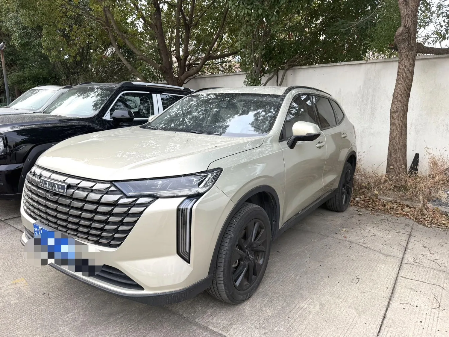 Haval 2024 H6 1.5T 2WD Pro Automatic