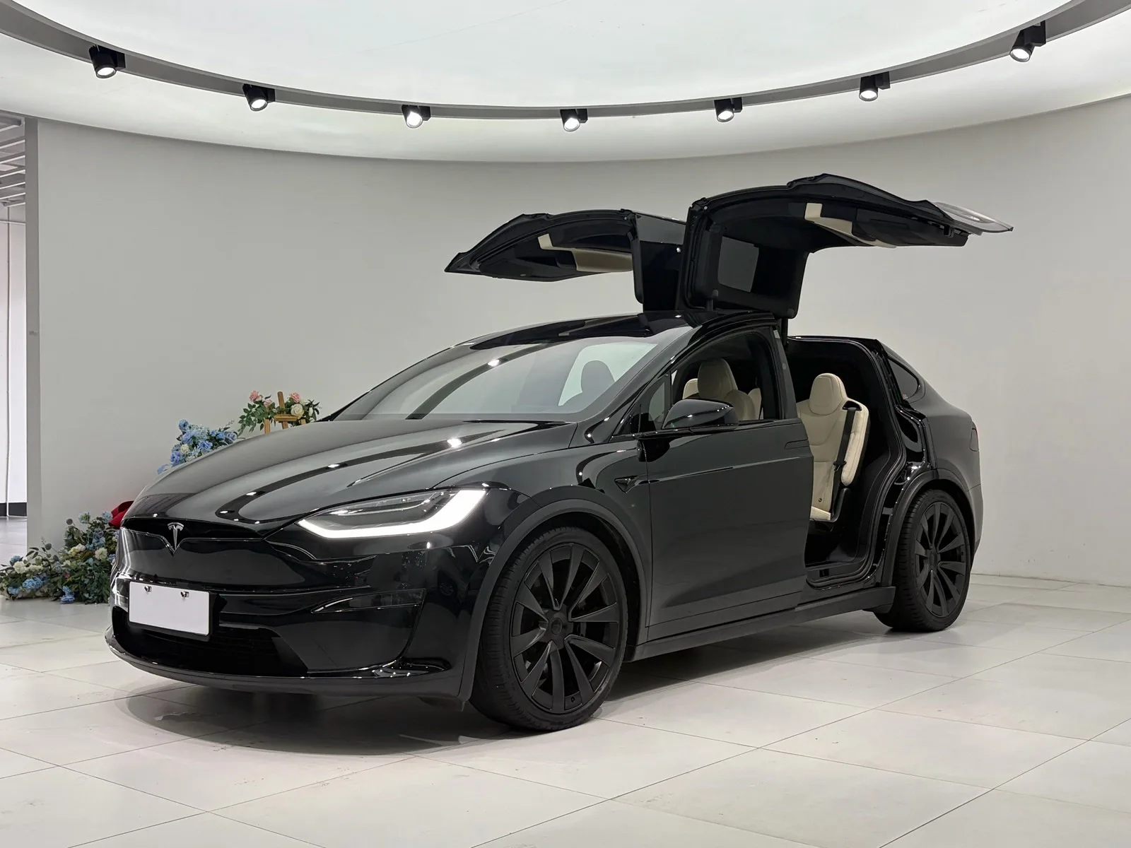 2023 Model X Dual Motor All-Wheel Drive