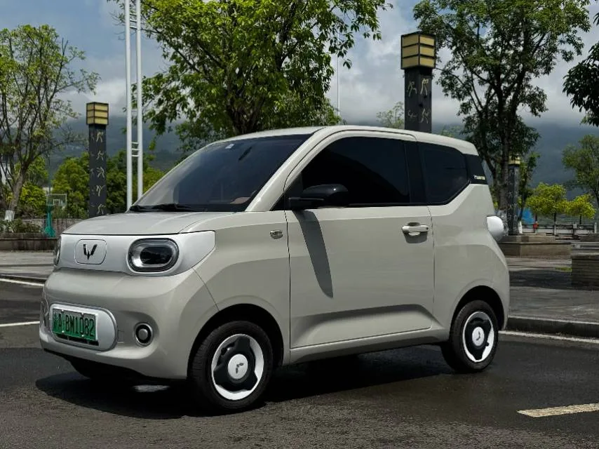 Wuling 2024 洪光 小型的 这 215公里 青年 版 自动的