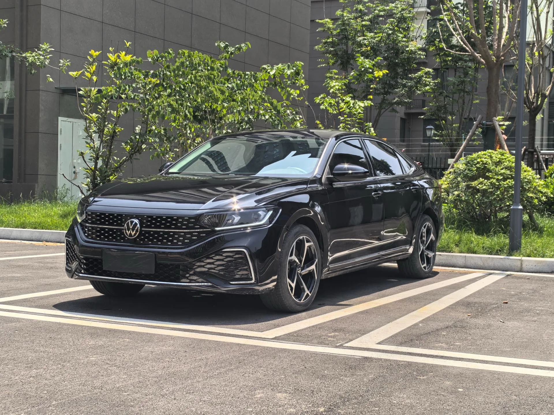 Volkswagen 2025 Passat 2.0TSI 380TSI Outstanding Edition Starry Sky Dragon Edition Automatic Transmission
