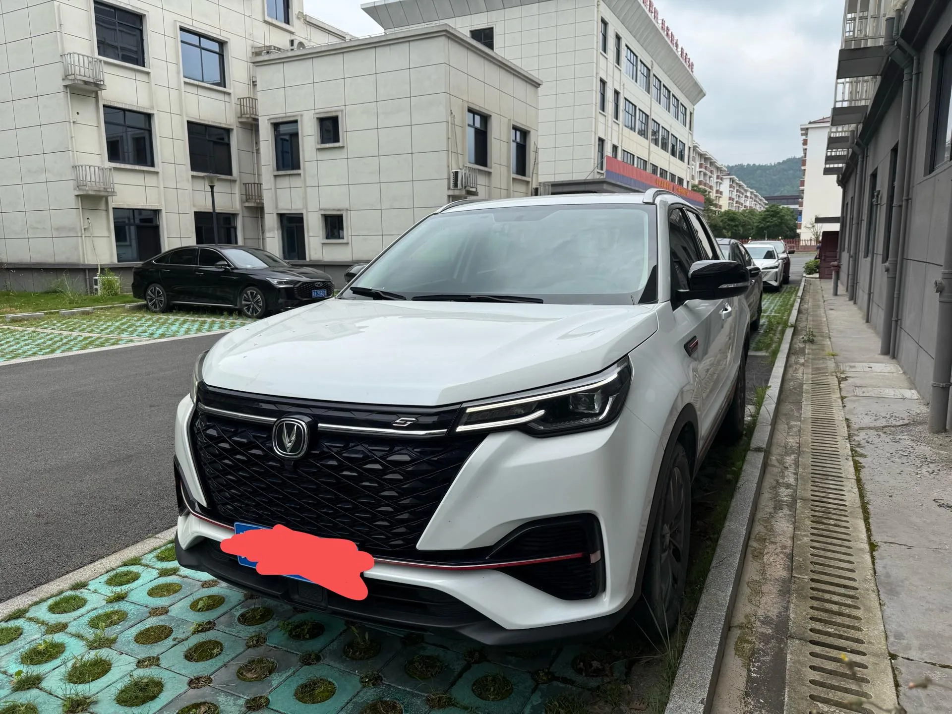 Changan CS55PLUS 2021 Blue Whale Edition 1.5T DCT Luxury Model