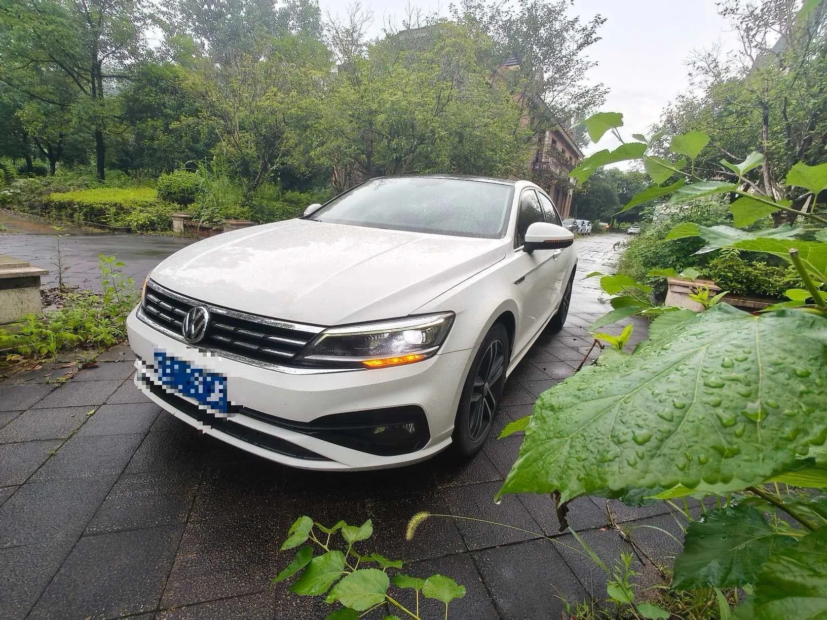 Lamando 2019 280TSI DSG Comfort Edition (National V Emission Standard)