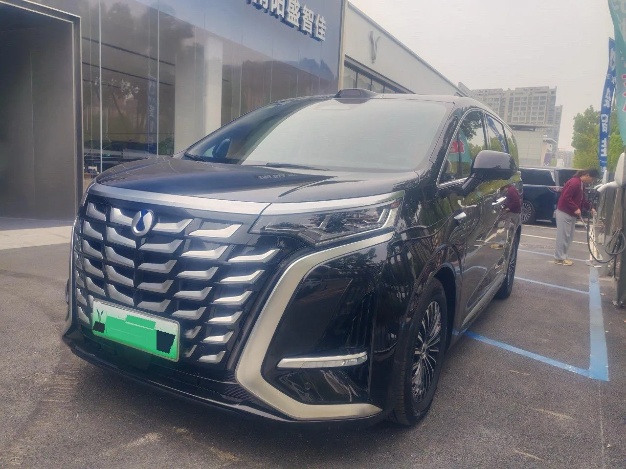 Denza 2025 Denza D9 DM-i 1.5T CVT Intelligent Driving Edition 1020 AWD Flagship Automatic