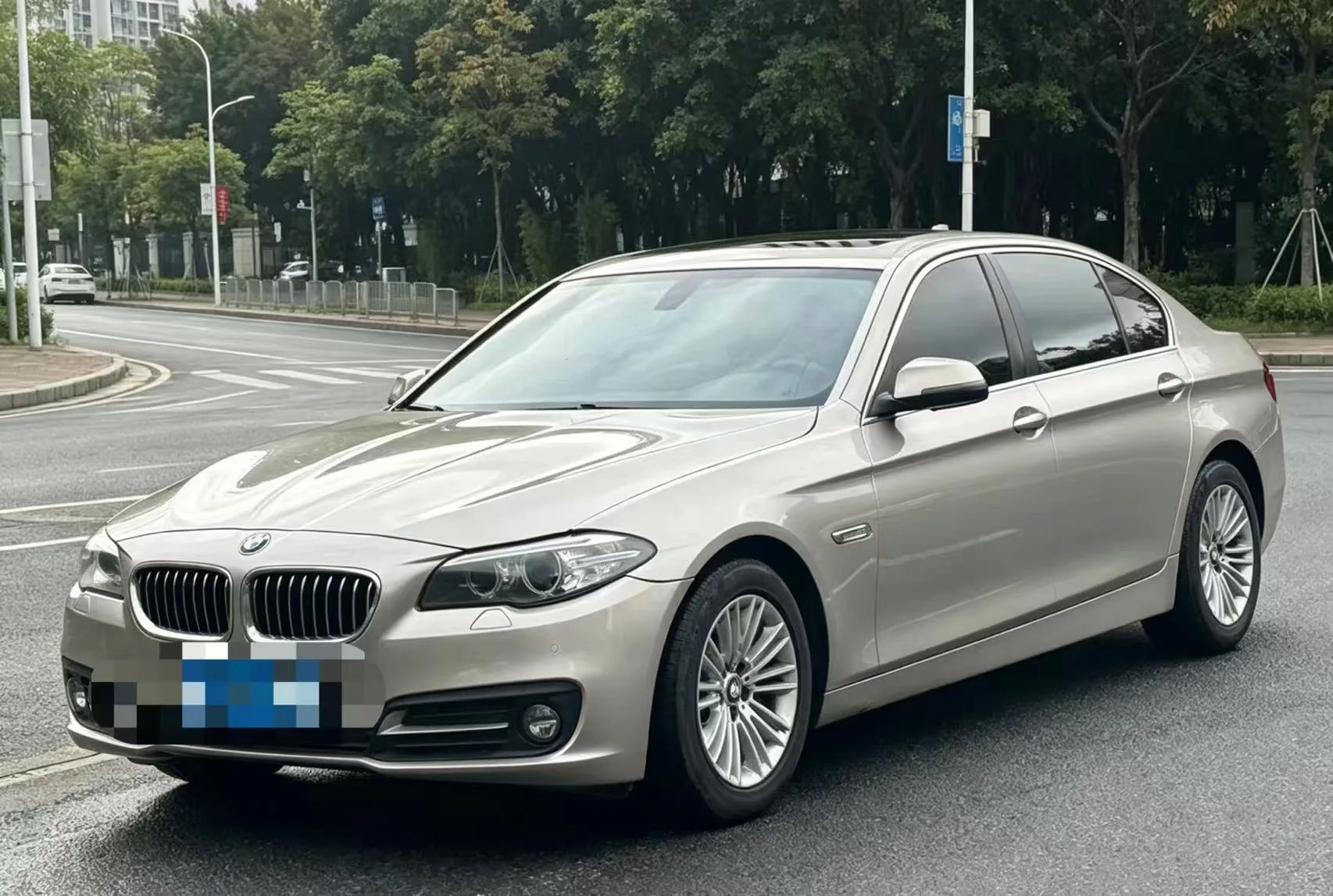 2014 BMW 5 Series 525Li Leading Edition