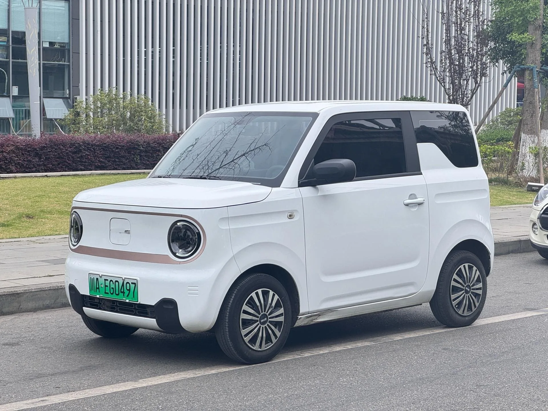 Panda 2023 Panda Mini 200km Endurance Bear
