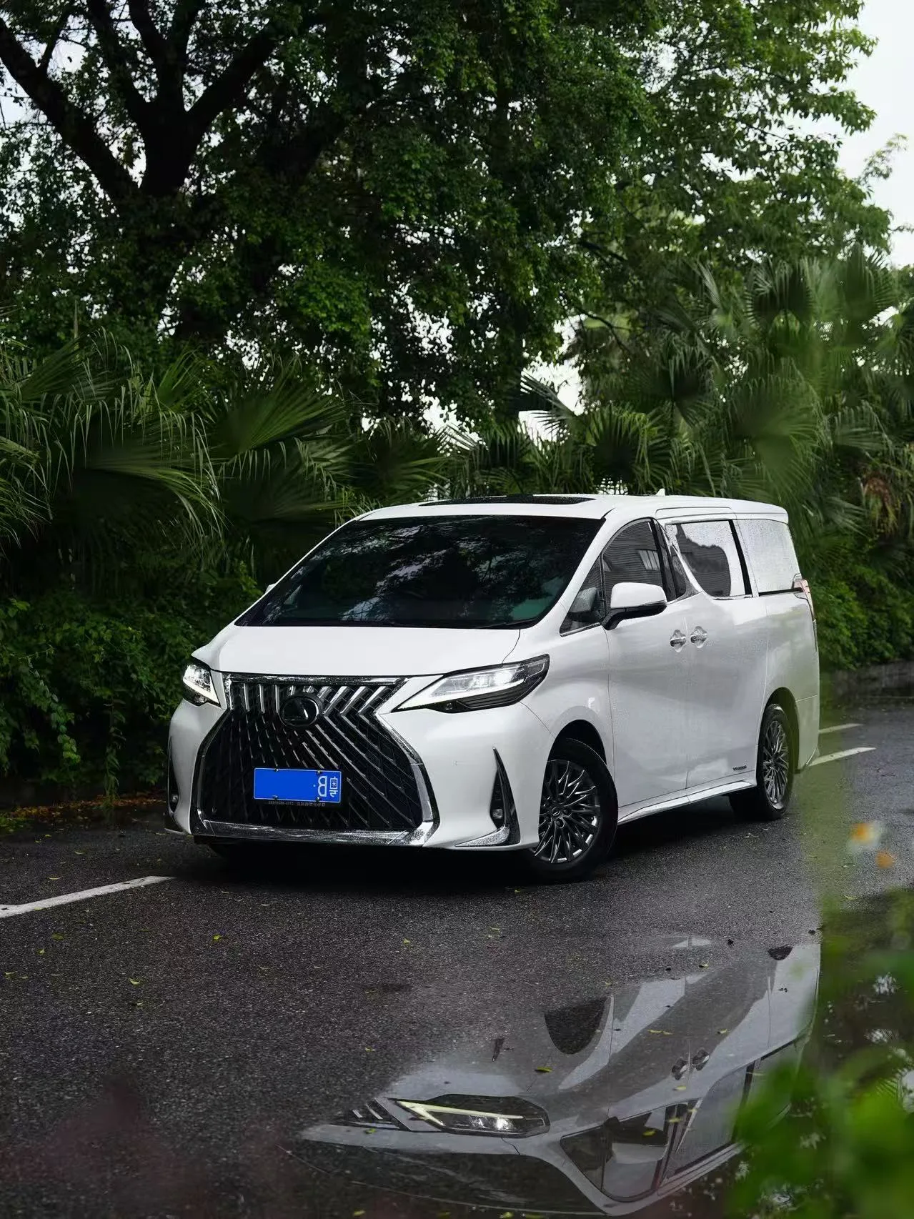 Lexus LM 2020 300h 7-Seat Elegant Edition