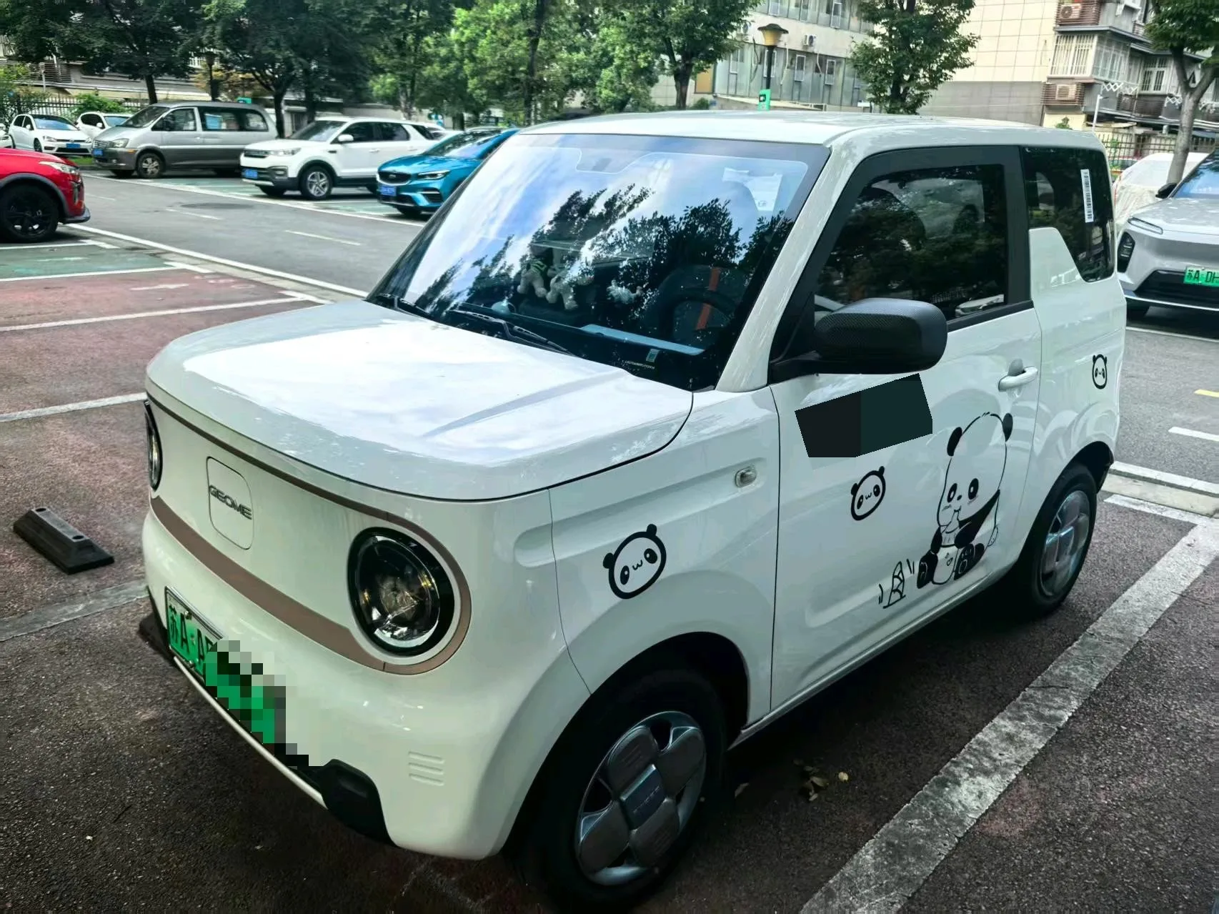 Panda 2023 Panda Mini 200km Endurance Bear