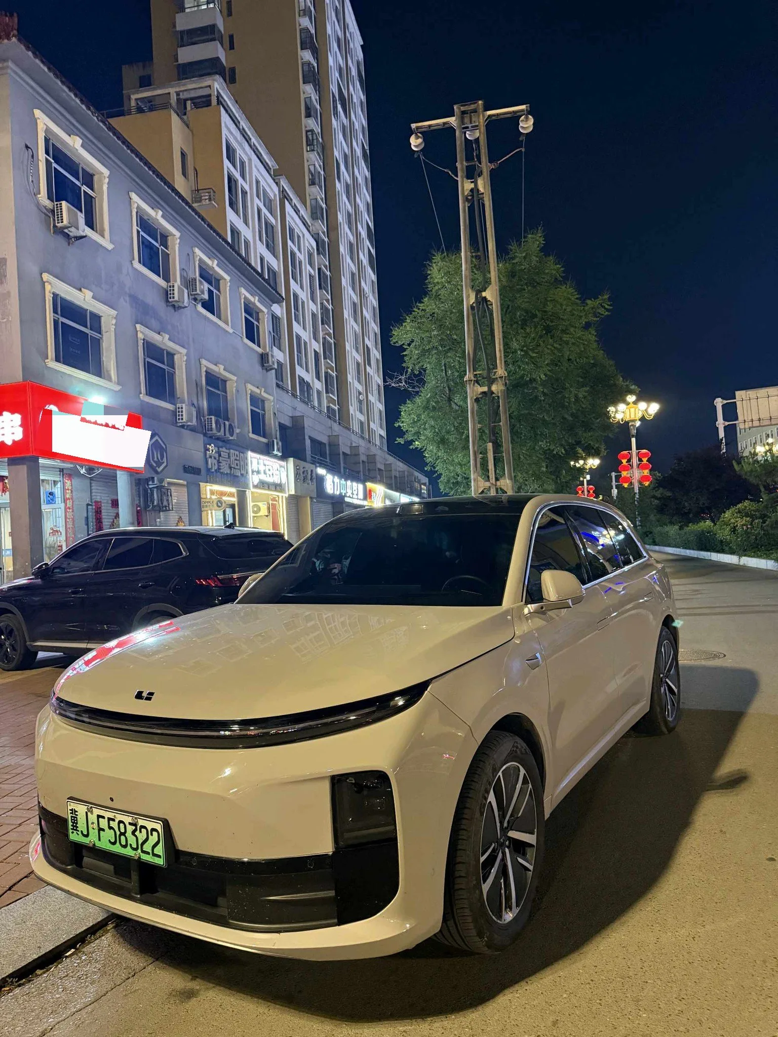 Li Auto L6 2024 Pro